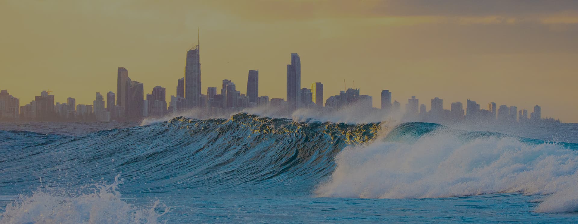 Estudiar surf en Gold Coast Australia